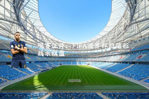 观赛证件：FIFA世界杯的隐形战术棋盘